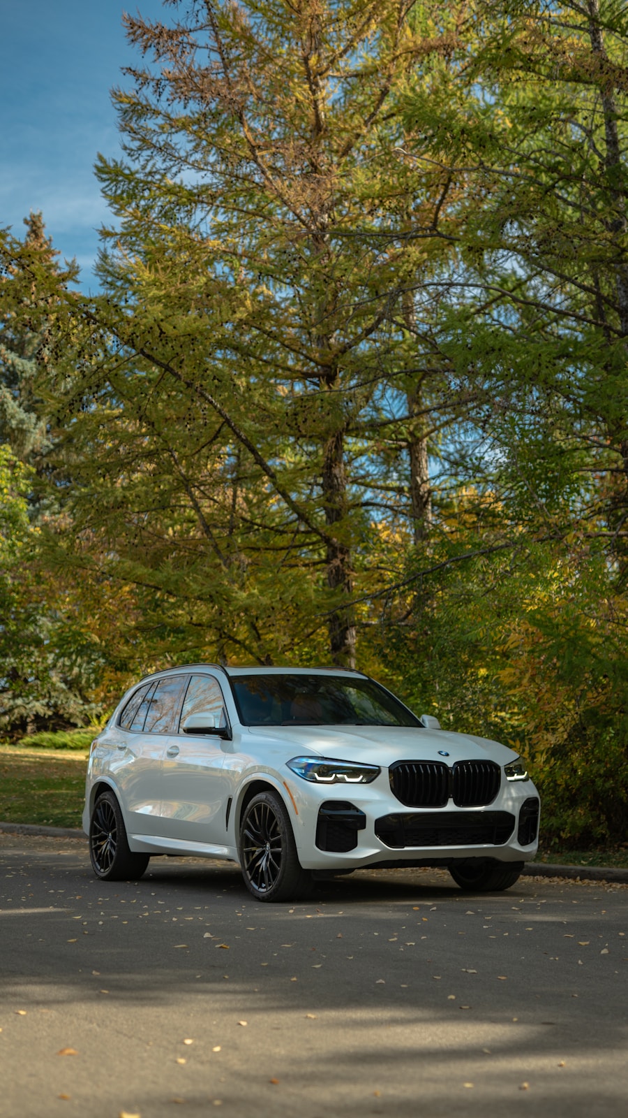 BMW X5 xDrive30d importado da Alemanha
